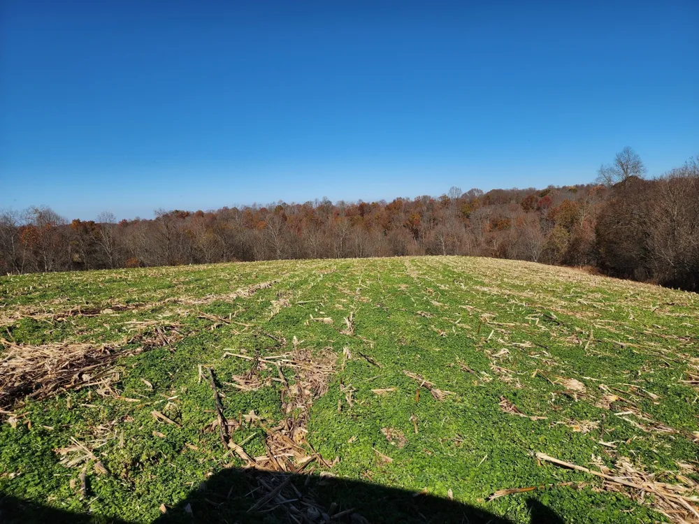 0 Taurus Farm Rd Lafayette, TN 37083