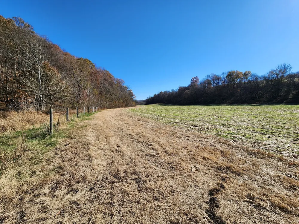 0 Taurus Farm Rd Lafayette, TN 37083