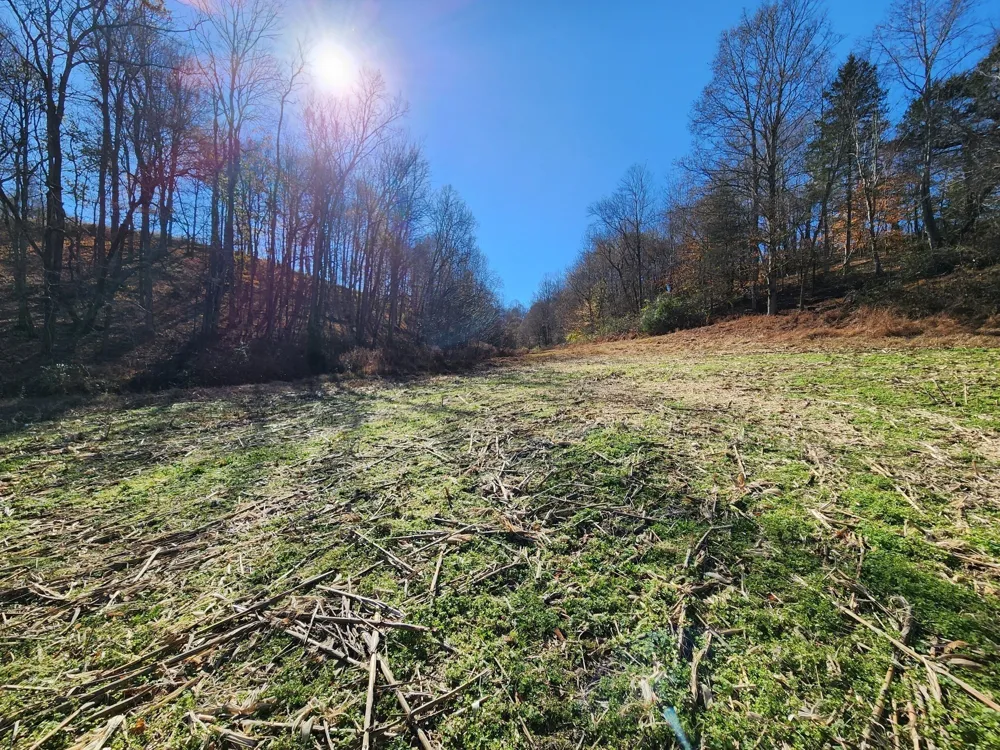 0 Taurus Farm Rd Lafayette, TN 37083