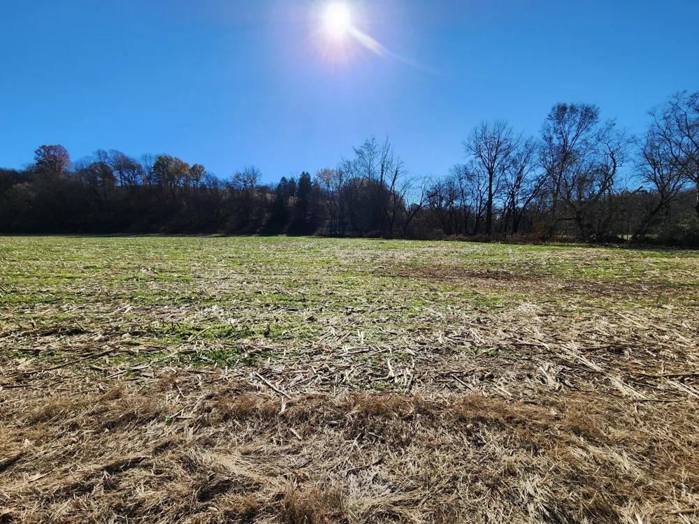 0 Taurus Farm Rd Lafayette, TN 37083
