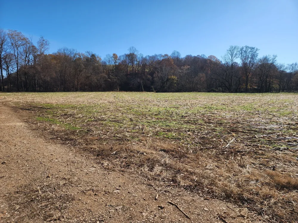 0 Taurus Farm Rd Lafayette, TN 37083
