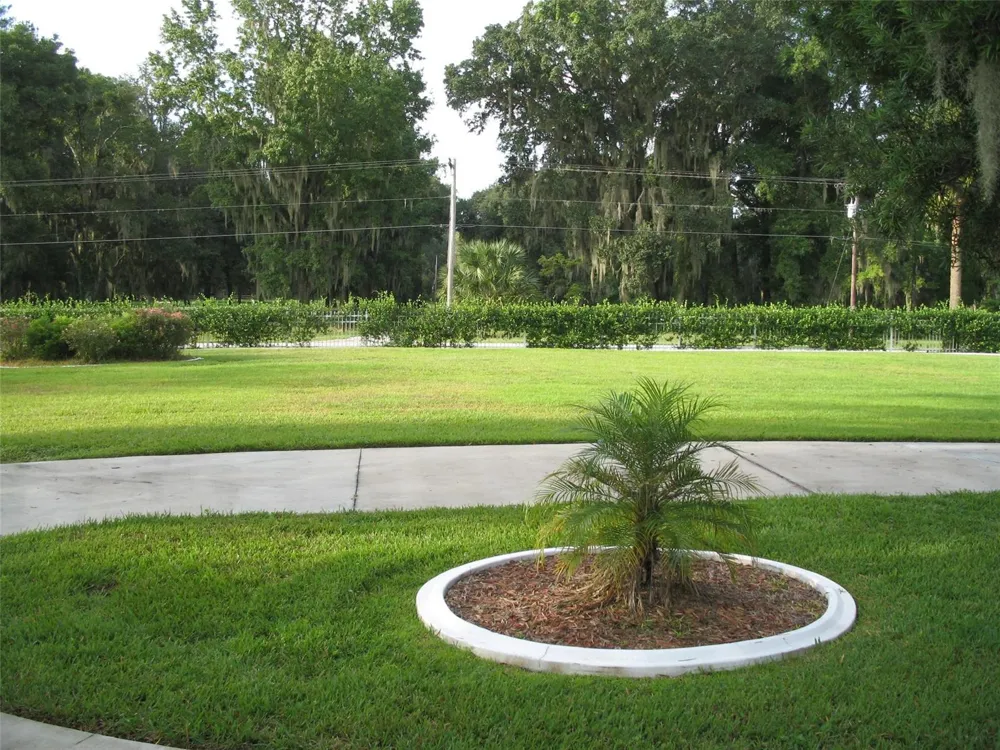 555 SW 87th Place ocala, FL 34476
