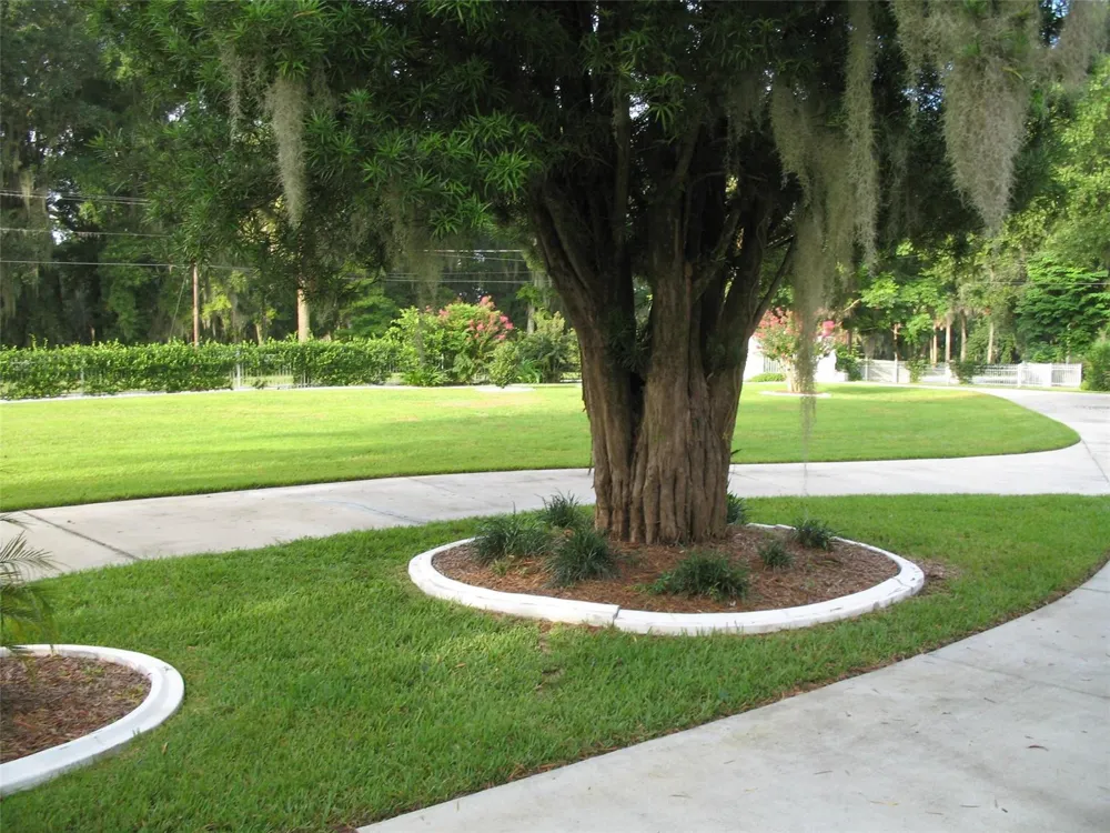 555 SW 87th Place ocala, FL 34476