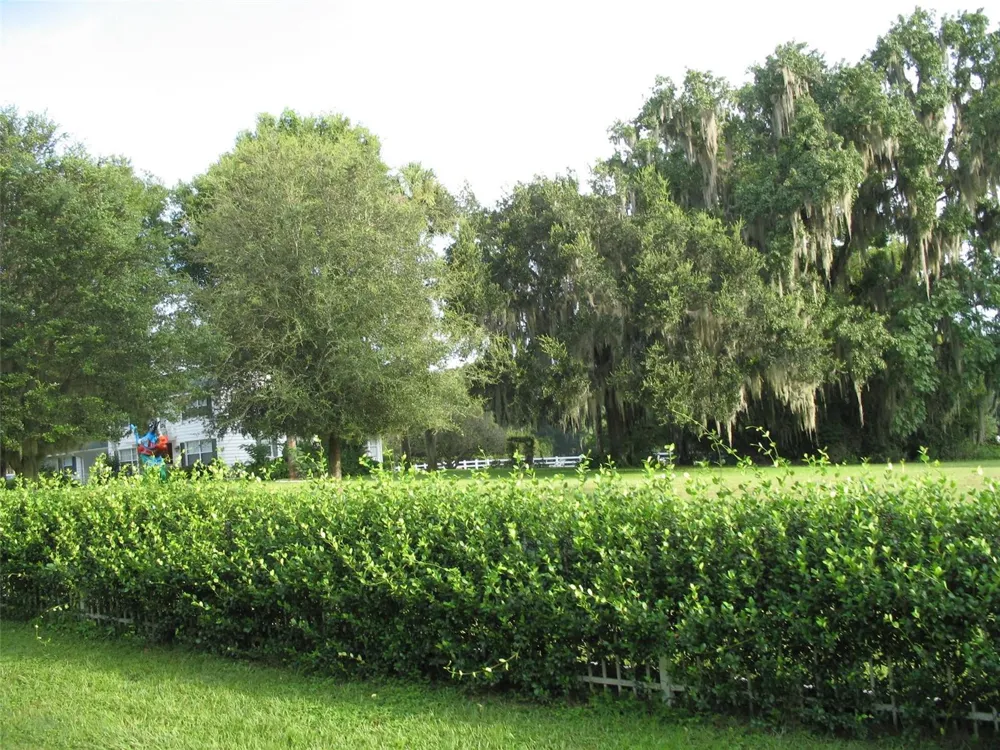 555 SW 87th Place ocala, FL 34476