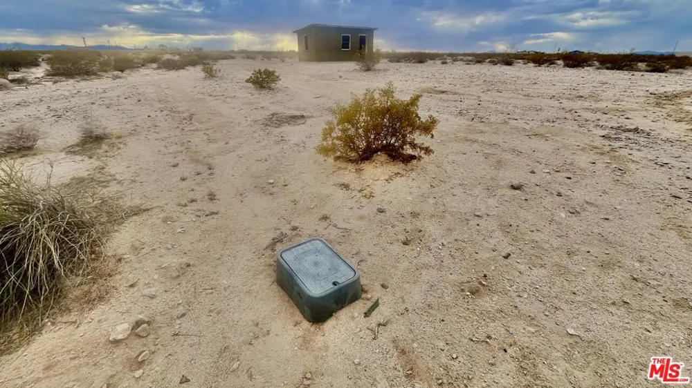 1476 Hales Drive Joshua Tree, CA 92252