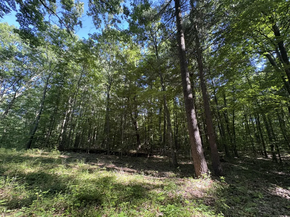 104th Avenue Allegan, MI 49010