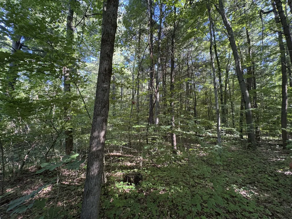 104th Avenue Allegan, MI 49010