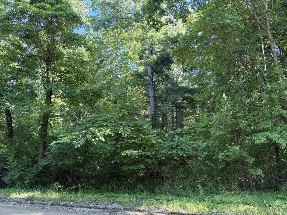 104th Avenue Allegan, MI 49010