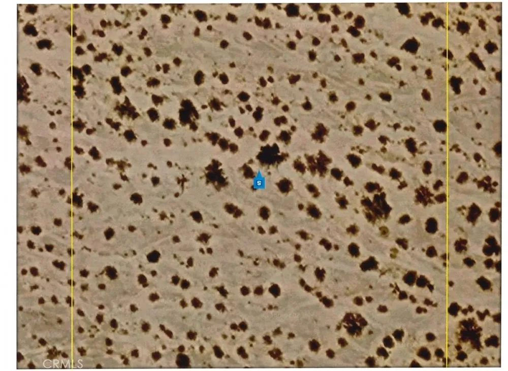 060070008000 Winterhaven, CA 92283