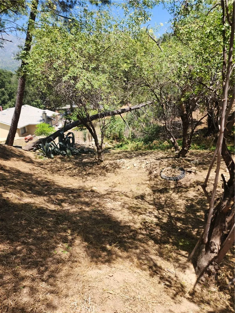 7095 Flora Morgan Trl Tujunga, CA 91042
