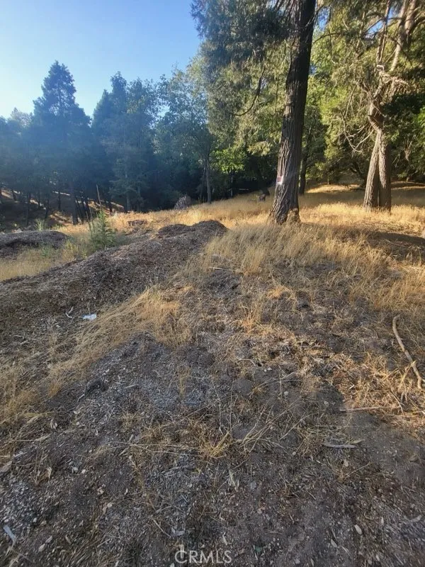 Lake Drive Crestline, CA 92325
