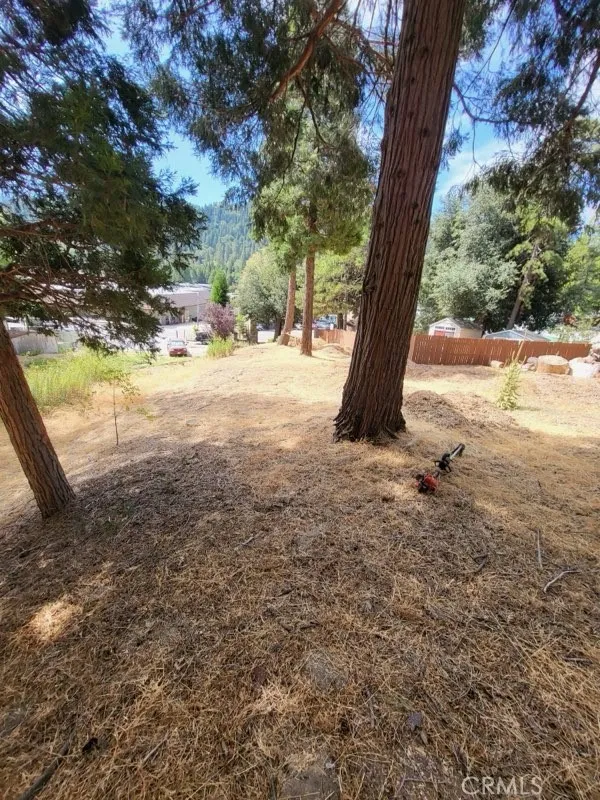 Lake Drive Crestline, CA 92325