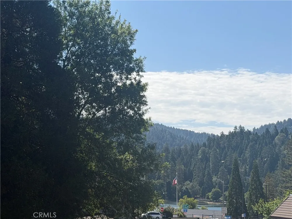 Lake Drive Crestline, CA 92325