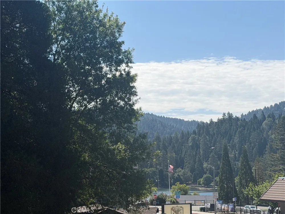 Lake Drive Crestline, CA 92325