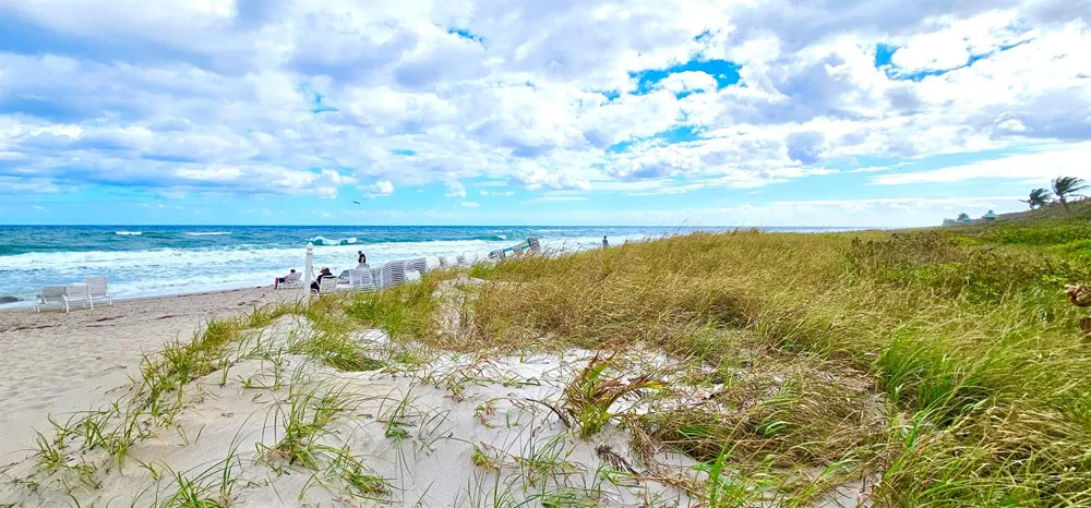 4101 Ocean Boulevard #1604 Boca Raton, FL 33431
