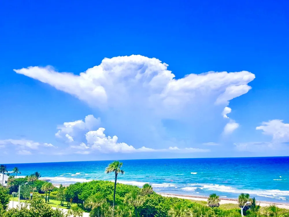 4101 Ocean Boulevard #1604 Boca Raton, FL 33431