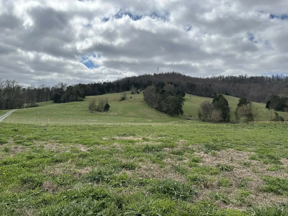 0 Upper Hilham Rd Livingston, TN 38570