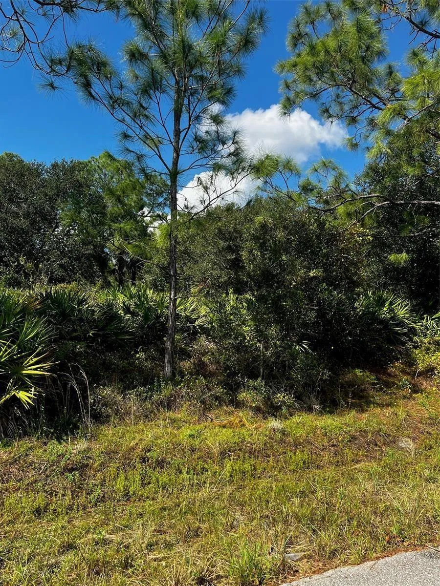 1221 Hamilton Avenue Lehigh Acres, FL 33972
