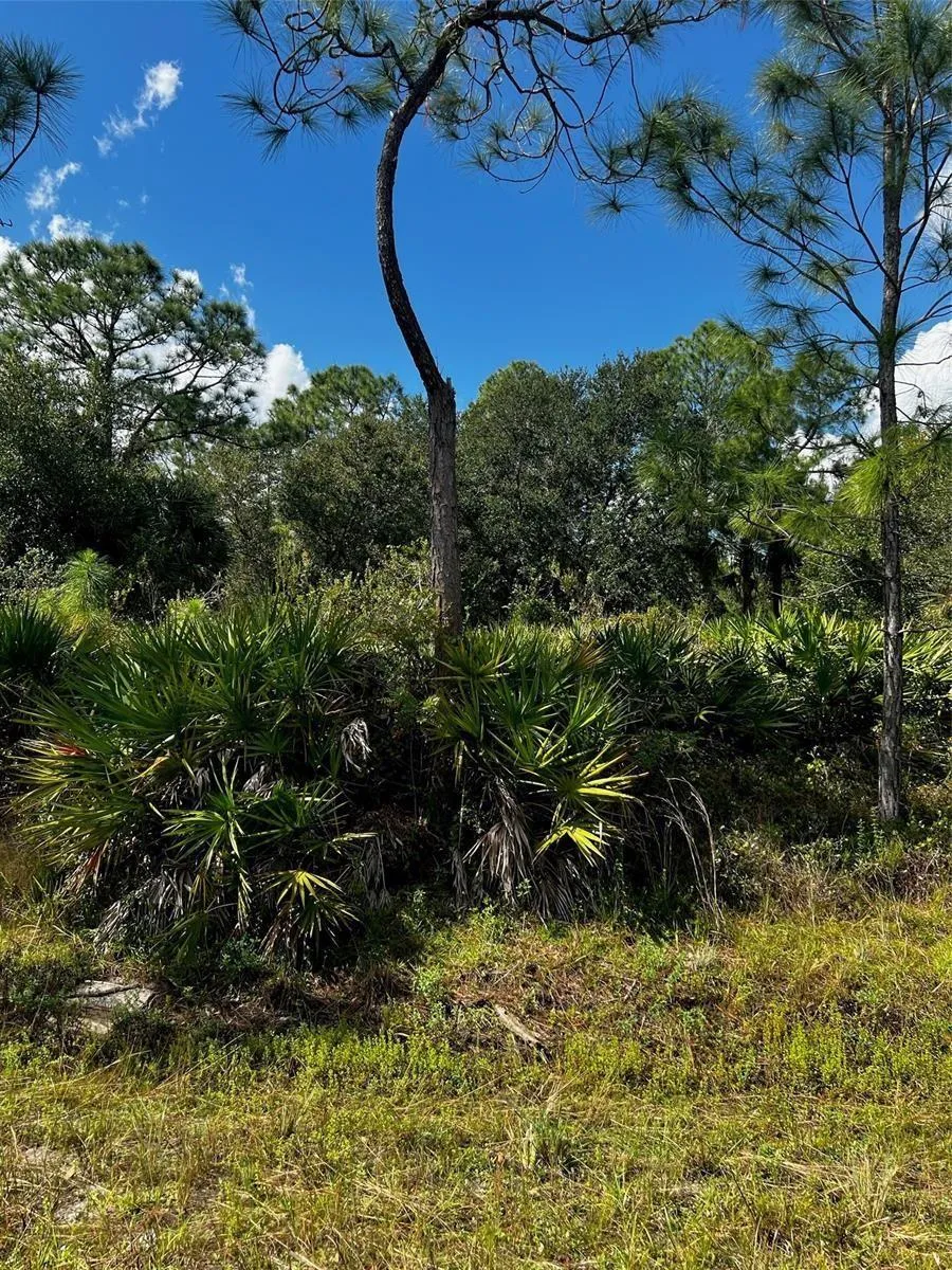 1221 Hamilton Avenue Lehigh Acres, FL 33972