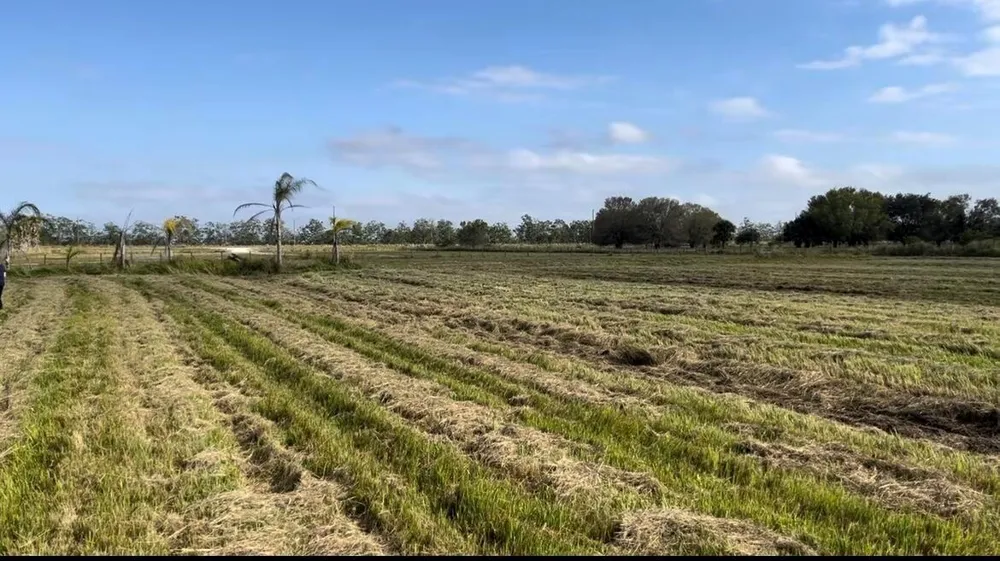 1503 S Header Canal Road Fort Pierce, FL 34945