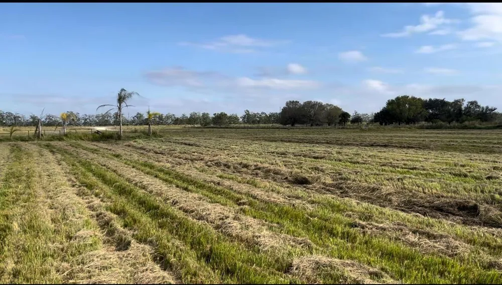 1503 S Header Canal Road Fort Pierce, FL 34945