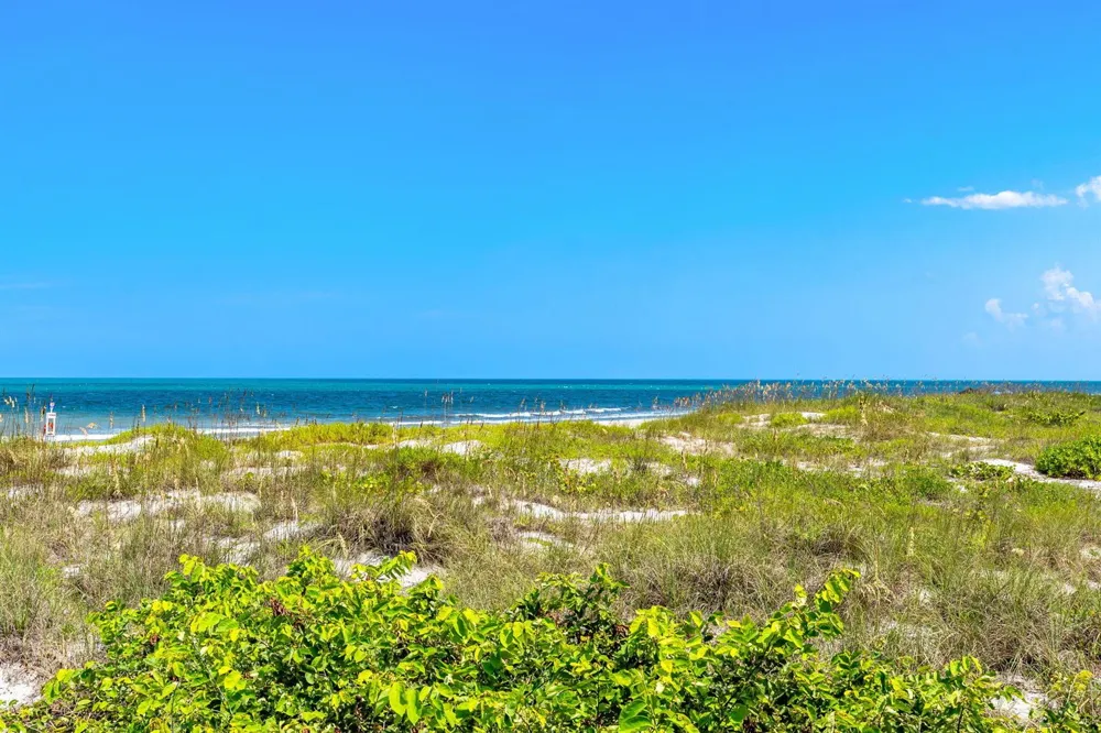 1155 S Atlantic Avenue #203 Cocoa Beach, FL 32931