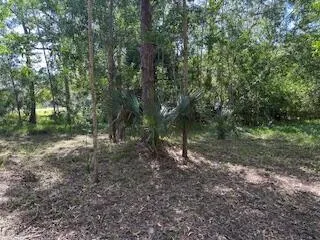 129th Avenue Royal Palm Beach, FL 33411