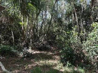 129th Avenue Royal Palm Beach, FL 33411