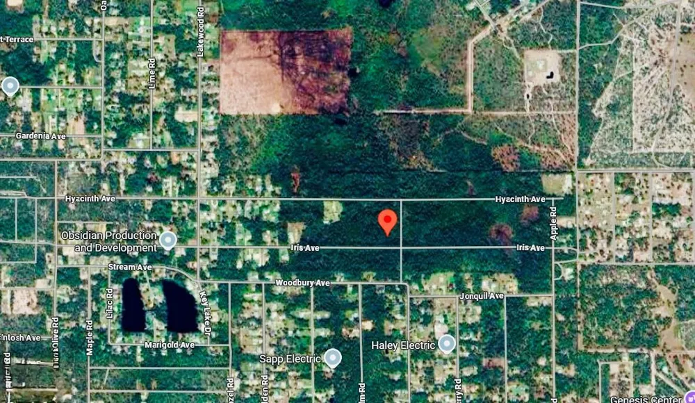1218 Iris Avenue Sebring, FL 33875