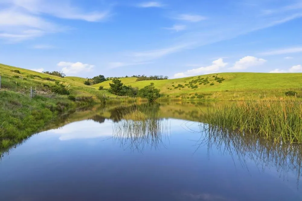 560 Stage Road Pescadero, CA 94060