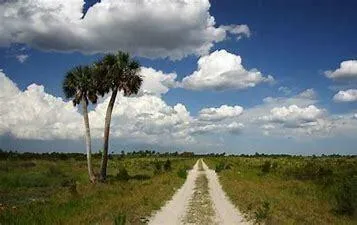 19374 NW 302nd Street Okeechobee, FL 34972