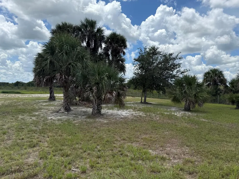 19374 NW 302nd Street Okeechobee, FL 34972