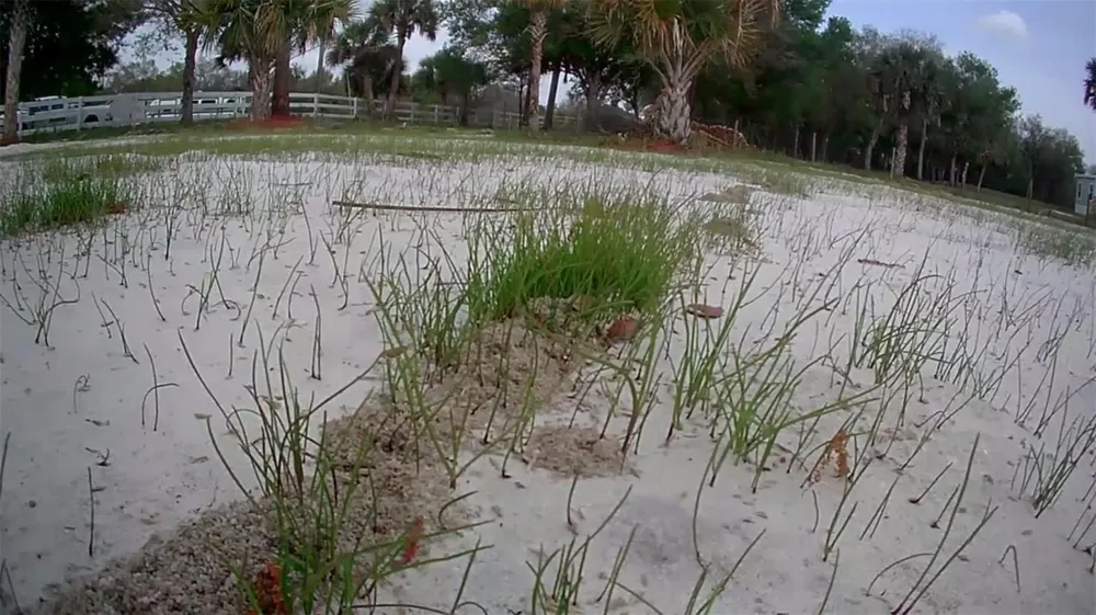 19374 NW 302nd Street Okeechobee, FL 34972