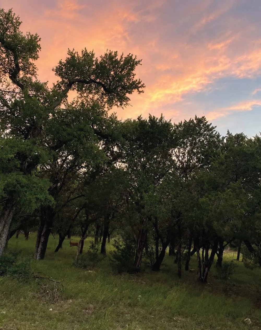 4036 Bent Arrow Horseshoe Bay, TX 78657