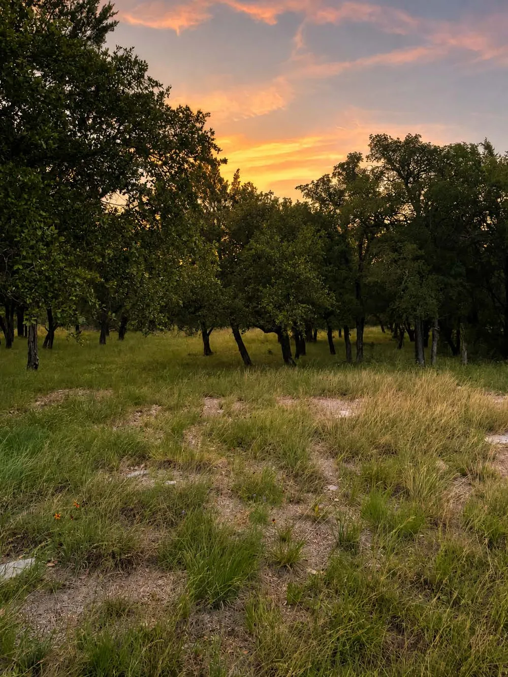 4036 Bent Arrow Horseshoe Bay, TX 78657