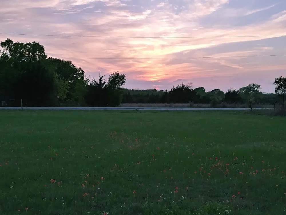 CR 561 Princeton, TX 75407