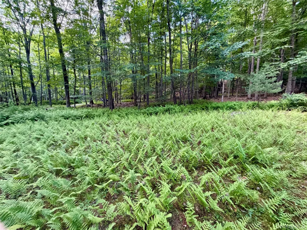 34 Newman Road Pond Eddy, NY 12770