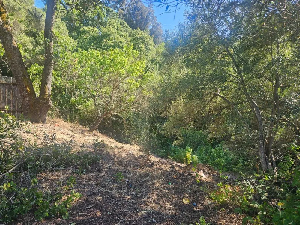 1527 Pleasant Hill Road Lafayette, CA 94549