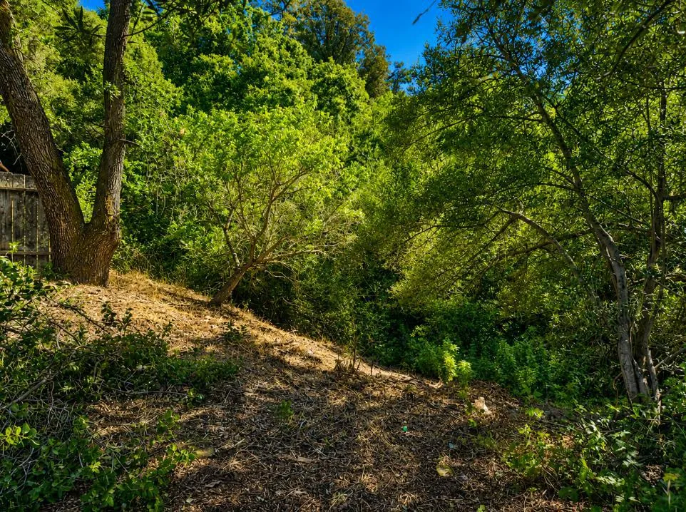 1527 Pleasant Hill Road Lafayette, CA 94549