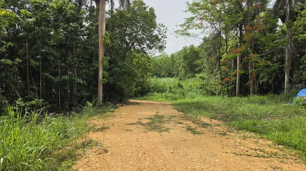 PR 669 KM 0.3 INT PR 828 Vega Alta, PR 00692