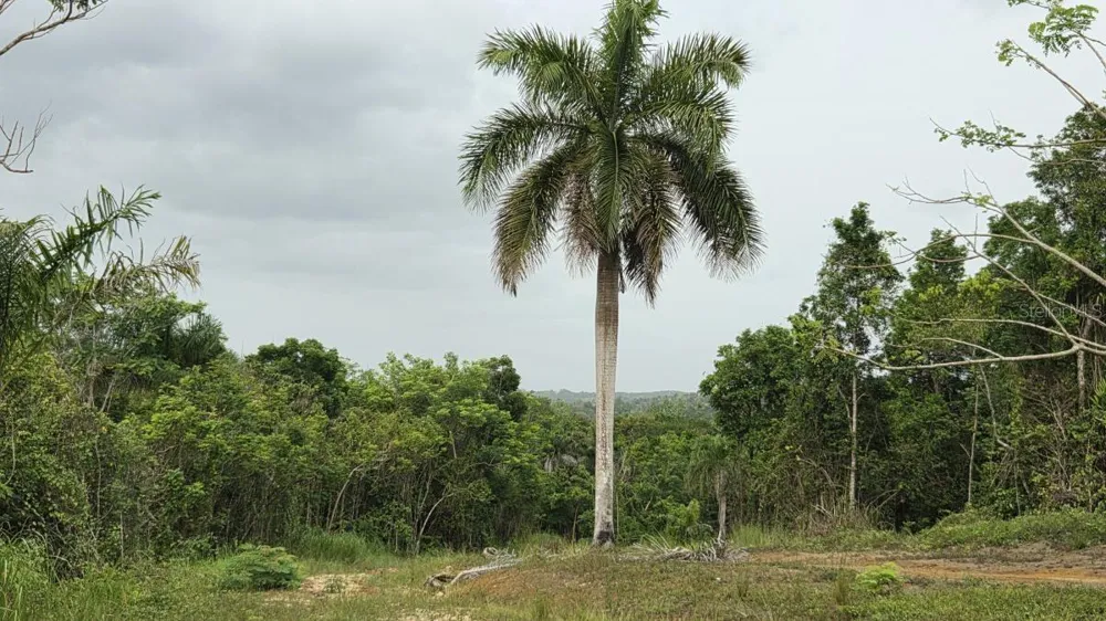 PR 669 KM 0.3 INT PR 828 Vega Alta, PR 00692