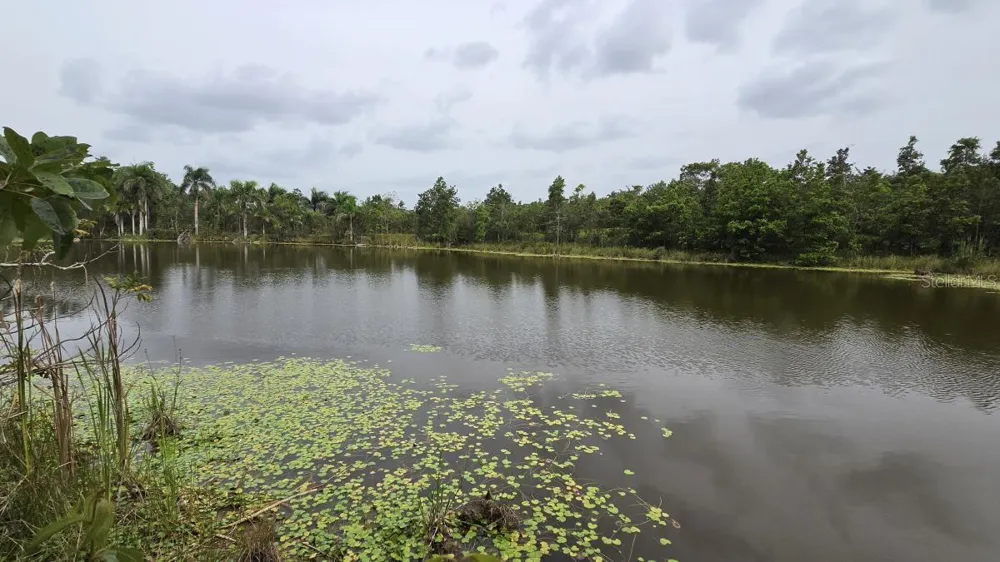 PR 669 KM 0.3 INT PR 828 Vega Alta, PR 00692