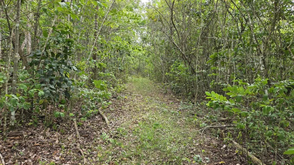 PR 669 KM 0.3 INT PR 828 Vega Alta, PR 00692