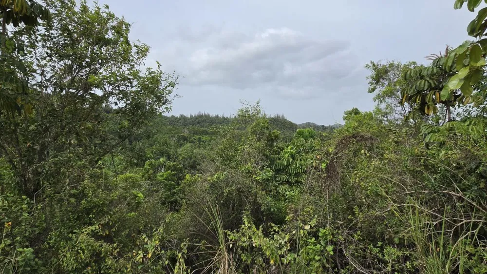PR 669 KM 0.3 INT PR 828 Vega Alta, PR 00692