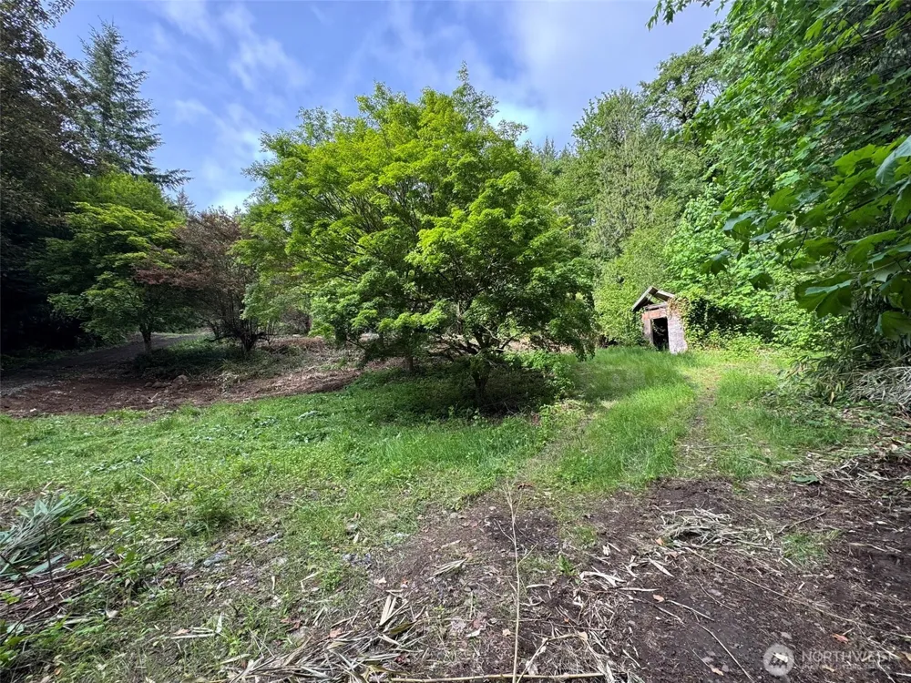 5532 LEWIS RIVER ROAD Ariel, WA 98603