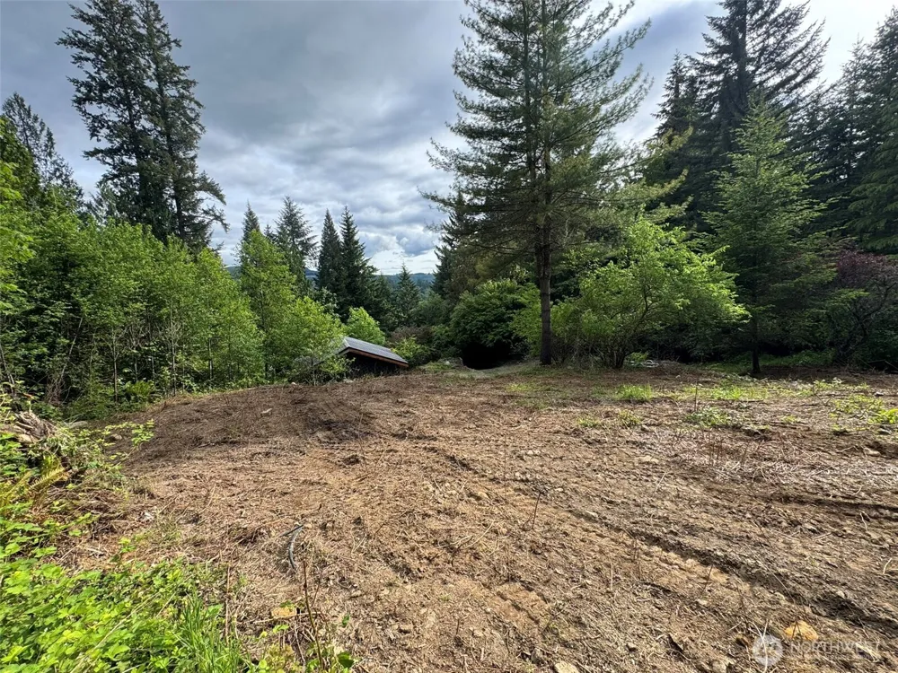 5532 LEWIS RIVER ROAD Ariel, WA 98603