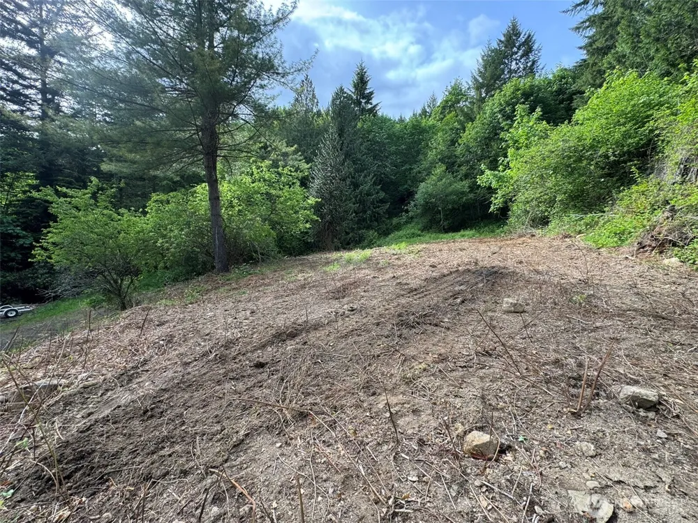 5532 LEWIS RIVER ROAD Ariel, WA 98603