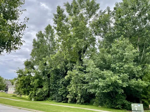 887 Hemingway Trail