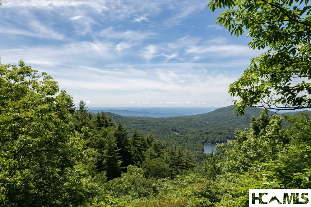 14 W Whitetail Drive Sapphire, NC 28774