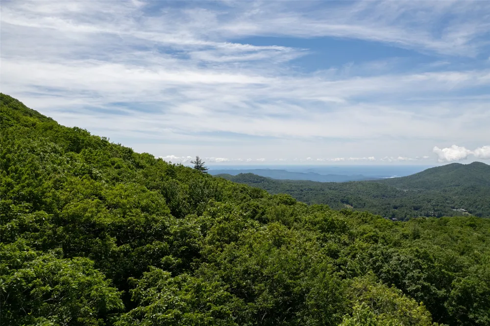 14 W Whitetail Drive Sapphire, NC 28774